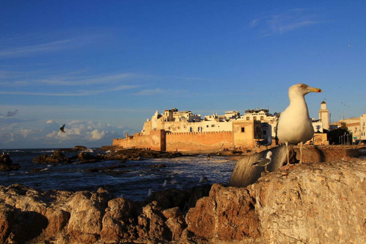 Mogador Essaouira Terre des Etoiles