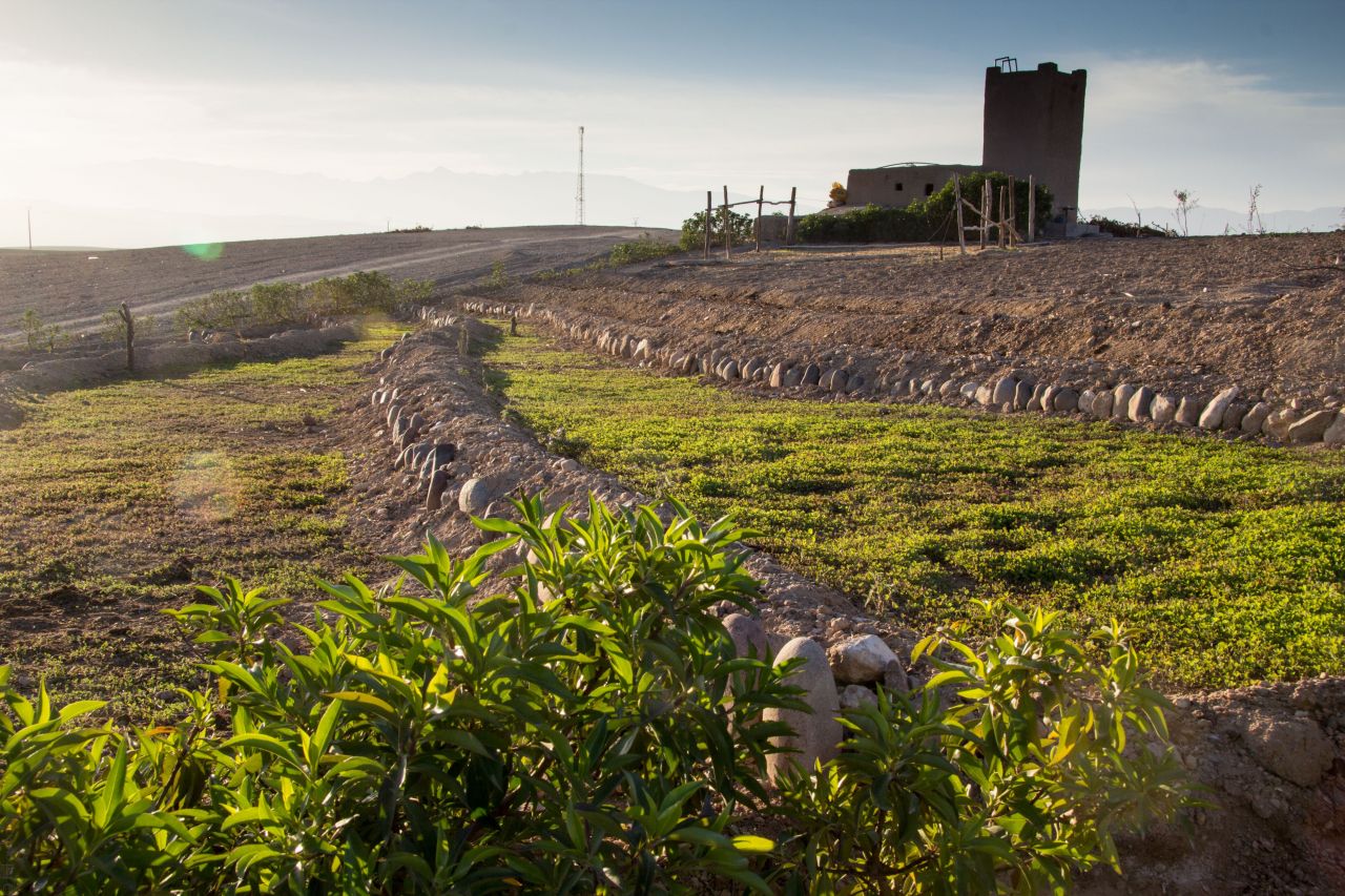 Atelier Jardinage d'une Oasis Terre des Etoiles