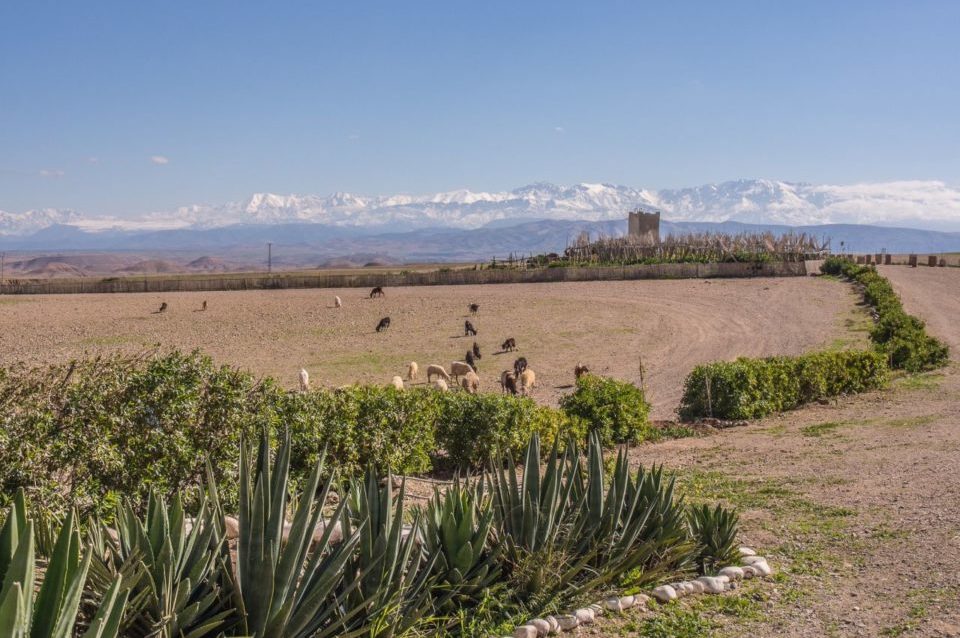 Atelier Jardinage Oasis Ecotourisme Maroc