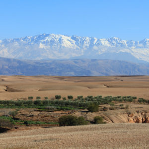 Ferme El Irch Désert Agafay Atlas Maroc