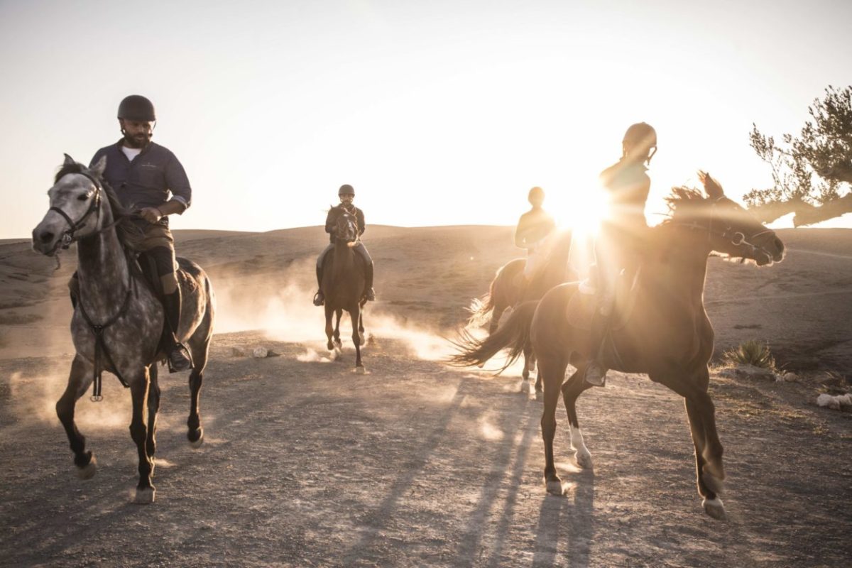 balade a cheval desert Agafay