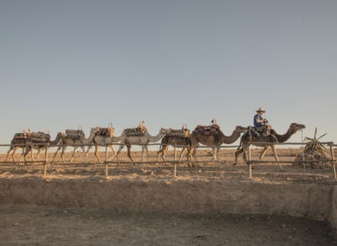 Balade dromadaire desert Agafay Marrakech Maroc