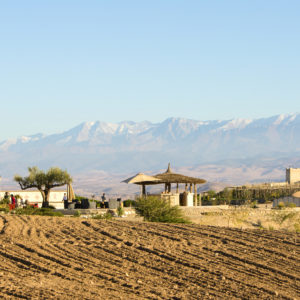 Eco camp Desert Agafay