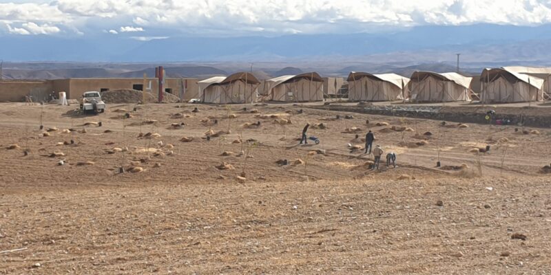 Campement insolite éphémère : être inspiré, innovant et créatif