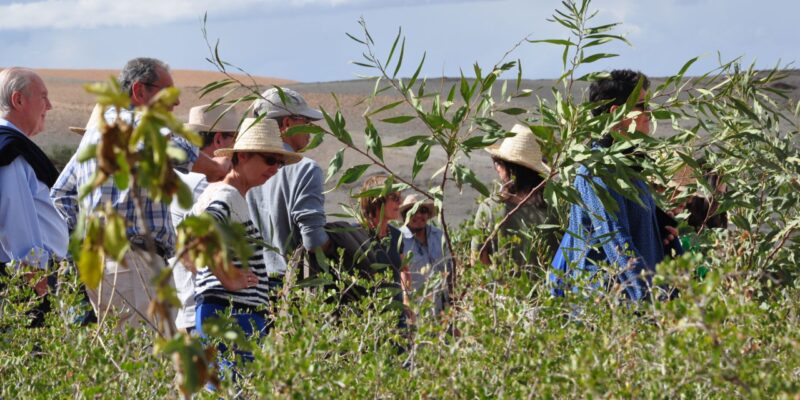 Forum Fellah esprit de la Terre : un événement au coeur du désert d’Agafay
