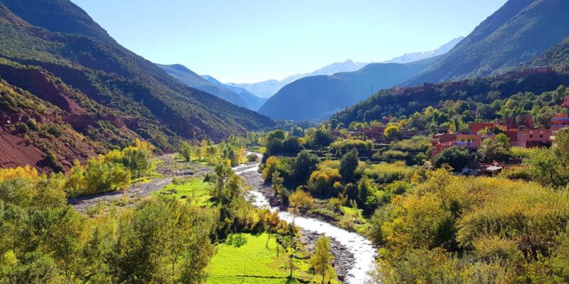 Les villages verts : étude et dynamique de coopération