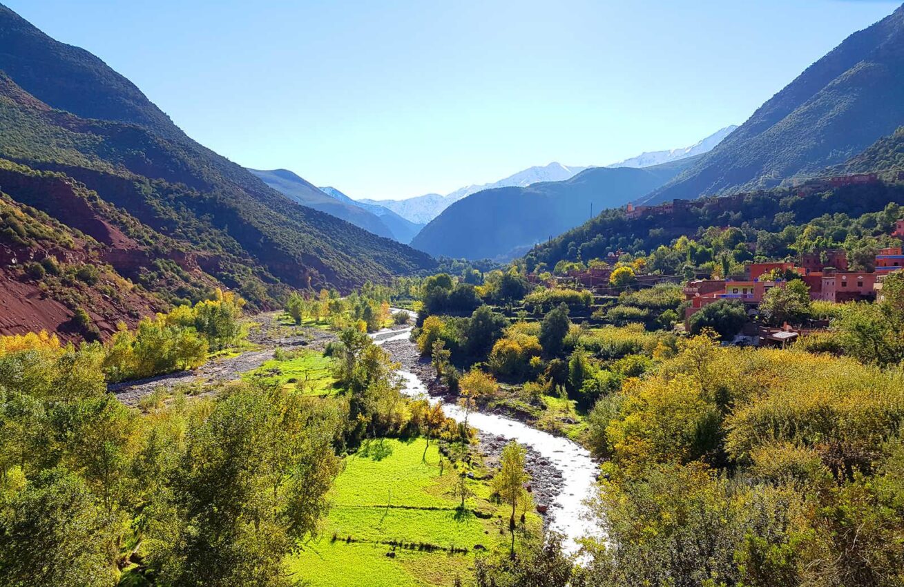 Les villages verts : étude et dynamique de coopération