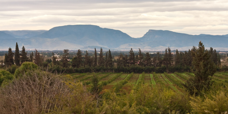 Programme d’agences de voyages Maroc