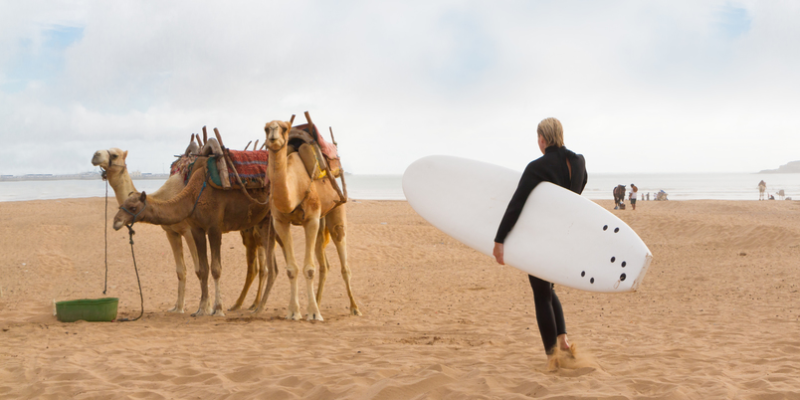 Programme d’agences de voyages Maroc