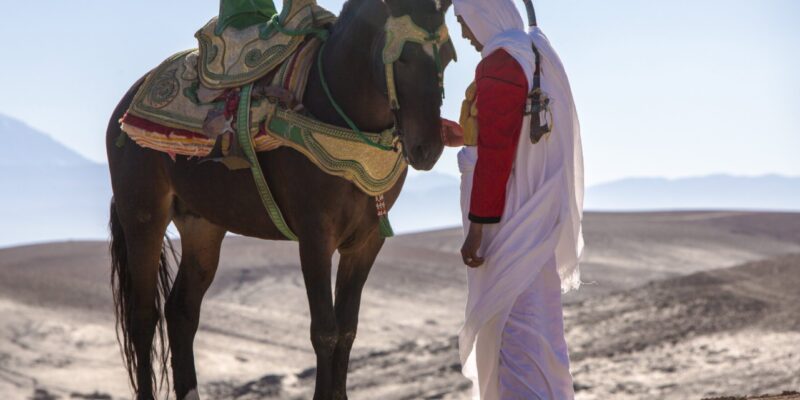 Programme d’agences de voyages Maroc